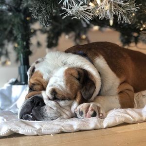 Meet your Posher, Maddy